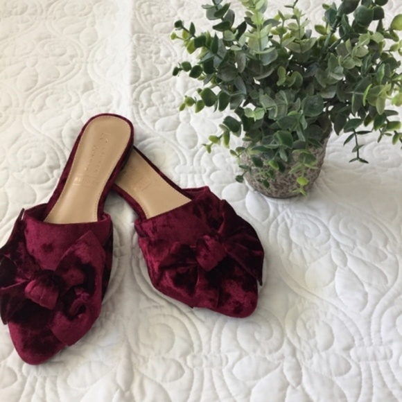 LC Lauren Conrad Shoes - FLASH SALE! LC Lauren Conrad Crushed Velvet Mules